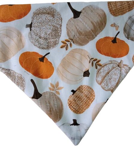Fall Pumpkins Over the Collar Dog Bandana That Slips onto Their Existing Collar Size (X-Small) in Saudi Arabia