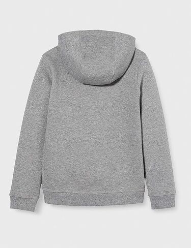 بلوفر صوف بغطاء للرأس من Nike Baby Boy's Club (طفل صغير) رمادي 3 طفل صغير 3T in Kuwait