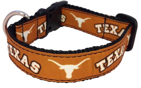 NCAA Texas Longhorns Dog Collar (Team Color, Large) in Saudi Arabia