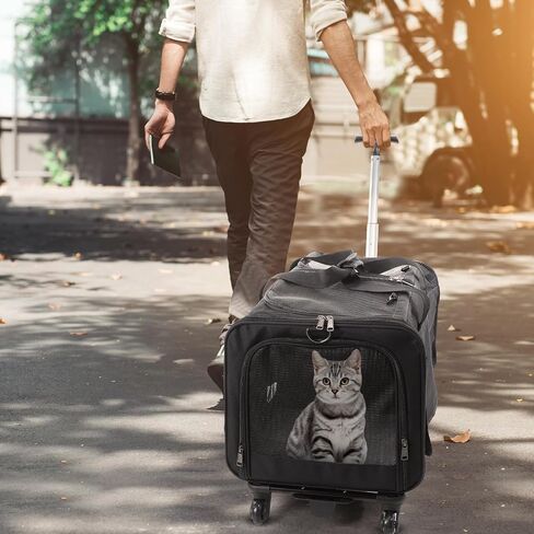 Wenqik 2 Set Pet Carrier with Wheels for 2 Cats, Double Compartment Pet Carrier, Large Rolling Cat Carrier for 2 Cats Dogs Travel Carrier for Outdoor Hiking Camping Veterinary Visits, Black in Saudi Arabia