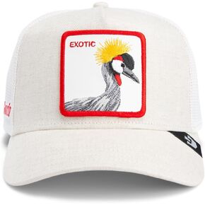 قبعة Goorin The Vicious Snake Trucker Hat، خشب الأبنوس، مقاس واحد للبالغين، للجنسين in Saudi Arabia