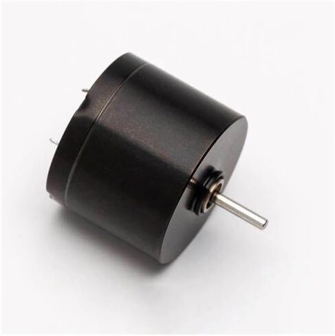 Big 20mm*16mm Coreless Electronic Starter DC12V 12000RPM High Speed Mute Electronic Starter Dual Ball Bearing Low Noise for Tattoo Machine in Saudi Arabia