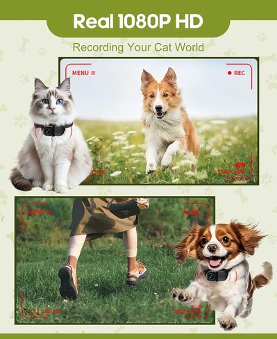 Cat Camera Collar with Video Recording,with 16G SD Card in Saudi Arabia