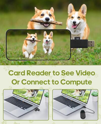 Cat Camera Collar with Video Recording,with 16G SD Card in Saudi Arabia