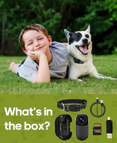 Cat Camera Collar with Video Recording,with 16G SD Card in Saudi Arabia