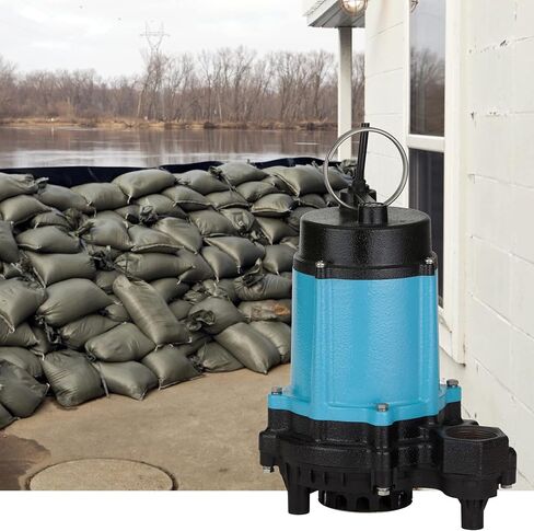 Little Giant 10EC-CIA-SFS 115-Volt, 1/2 HP, 4020 GPH Automatic Cast Iron Sump/Effluent Pump with polypropylene base, integrated snap-action float switch and 10-ft. cord, Blue, 510803 in Saudi Arabia