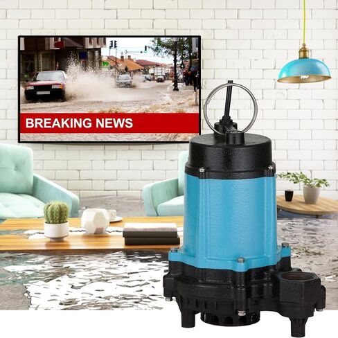 Little Giant 10EC-CIA-SFS 115-Volt, 1/2 HP, 4020 GPH Automatic Cast Iron Sump/Effluent Pump with polypropylene base, integrated snap-action float switch and 10-ft. cord, Blue, 510803 in Saudi Arabia