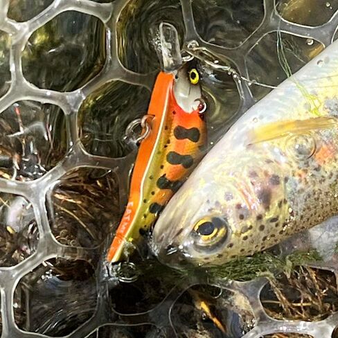 WIDDLE WOBBLER 50-Ultralight 4G Wobble Minnow Fishing Erure (50 مم)-سلسلة جرحى وغربية-HOOK الفردية الفردية-للتراوت والباس والمواصفات متعددة الأنواع in Saudi Arabia