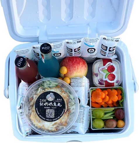 عربات ثلج جافة عالمية للشحن والمبردات ، شحن صفائح الجليد للمبردات القابلة لإعادة الاستخدام ، الجليد الجاف طويل الأمد لشحن الطعام ، حافظ على شرب الطعام البارد ، 17 '× 9.3' '96 خلية in Kuwait