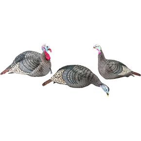 الصيادون التخصصيون HS Strut Lite Flock Jake & Feeding الدجاجة والدجاجة المستقيمة تركيا قابلة للطي مجوفة ومريحة الجسم واقعية مجموعة كومبو 3-Pack الأفخاخ in Kuwait