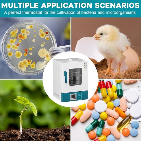 حاضنة مختبر قاومون 20 لتر RT-65 درجة مئوية حاضنة رقمية علمية PID للتحكم في درجة الحرارة مختبر حاضنة إنبات بذور الثقافة العلوم الطبية in Kuwait