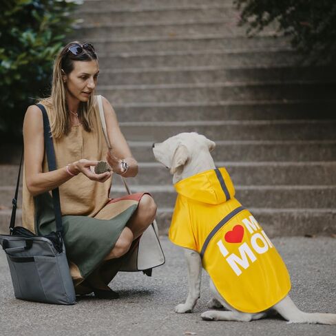 GreenJoy Dog Raincoat with Cute Print - Waterproof Dog Rain Jacket with Reflective Strips and Leash Hole,Adjustable Dog Rain Coat for Small,Medium and Large Dogs(Yellow (I Love My Mom), Medium) in Saudi Arabia