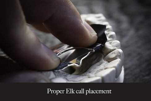 مواطن من كارلتون - RIPIT Elk Call in Saudi Arabia