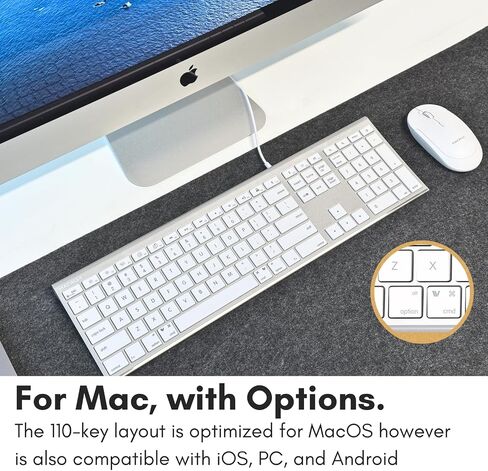 Macally USB C Keyboard (Upgraded) - Dual USB A + C Plug - Wired Keyboard for Mac - Ultra Slim, 20 Shortcuts, 110 Scissor Keys - for MacBook Pro/Air, Mac mini, iMac, iPad - Space Gray in Saudi Arabia