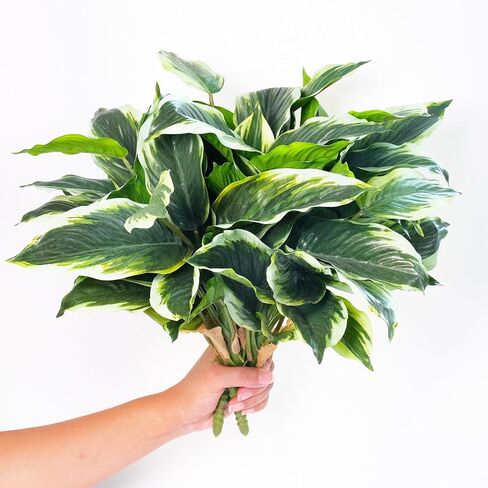 3PCS Artificial Tropical Green Plants – 19.6" Fake Hostas Outdoor Artificial Plants, UV Resistant, Faux Green Leaf Stems for Porch, Patio, Balcony, Garden Planter or Indoor Décor in Saudi Arabia