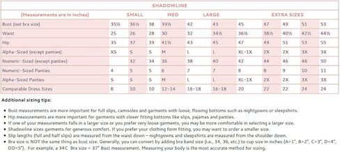 Shadowline Women's Plus-Size Panties-Nylon Brief (3 Pack) in Saudi Arabia
