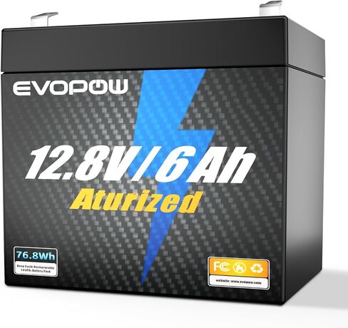 12V 100Ah Mini LiFePO4 Lithium Battery, Built-in 100A BMS, Up to 15000 Cycles with 10-Year Lifespan, 1280Wh Energy LiFePO4 Battery in Small Size, Perfect for RV, Solar, Marine and Home Energy Storage in Saudi Arabia